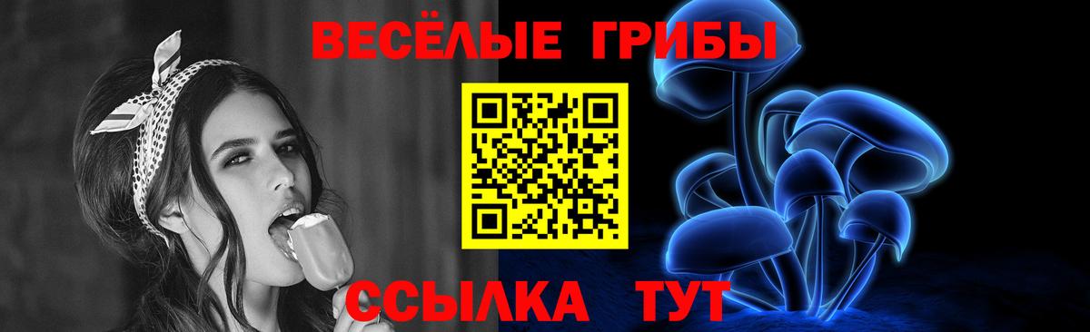 Галлюциногенные грибы прущие грибы Хасавюрт